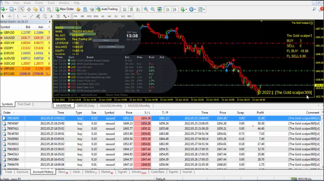 Automated gold trading EA performance